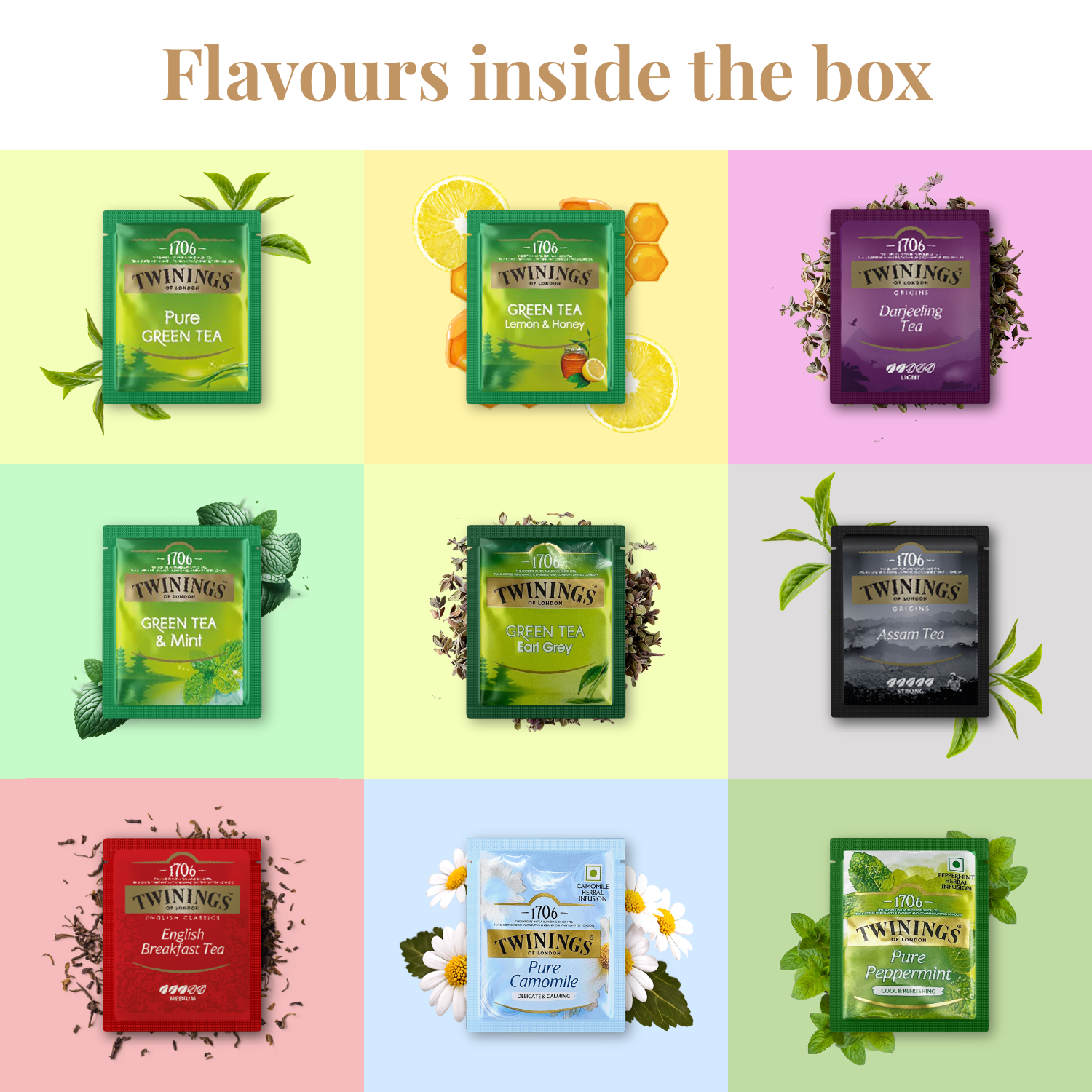 Tea Gifts - The Explorers Collection
