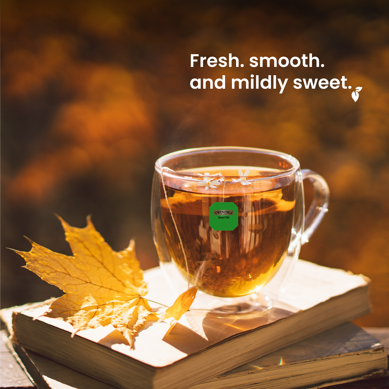 Green Tea - Jasmine