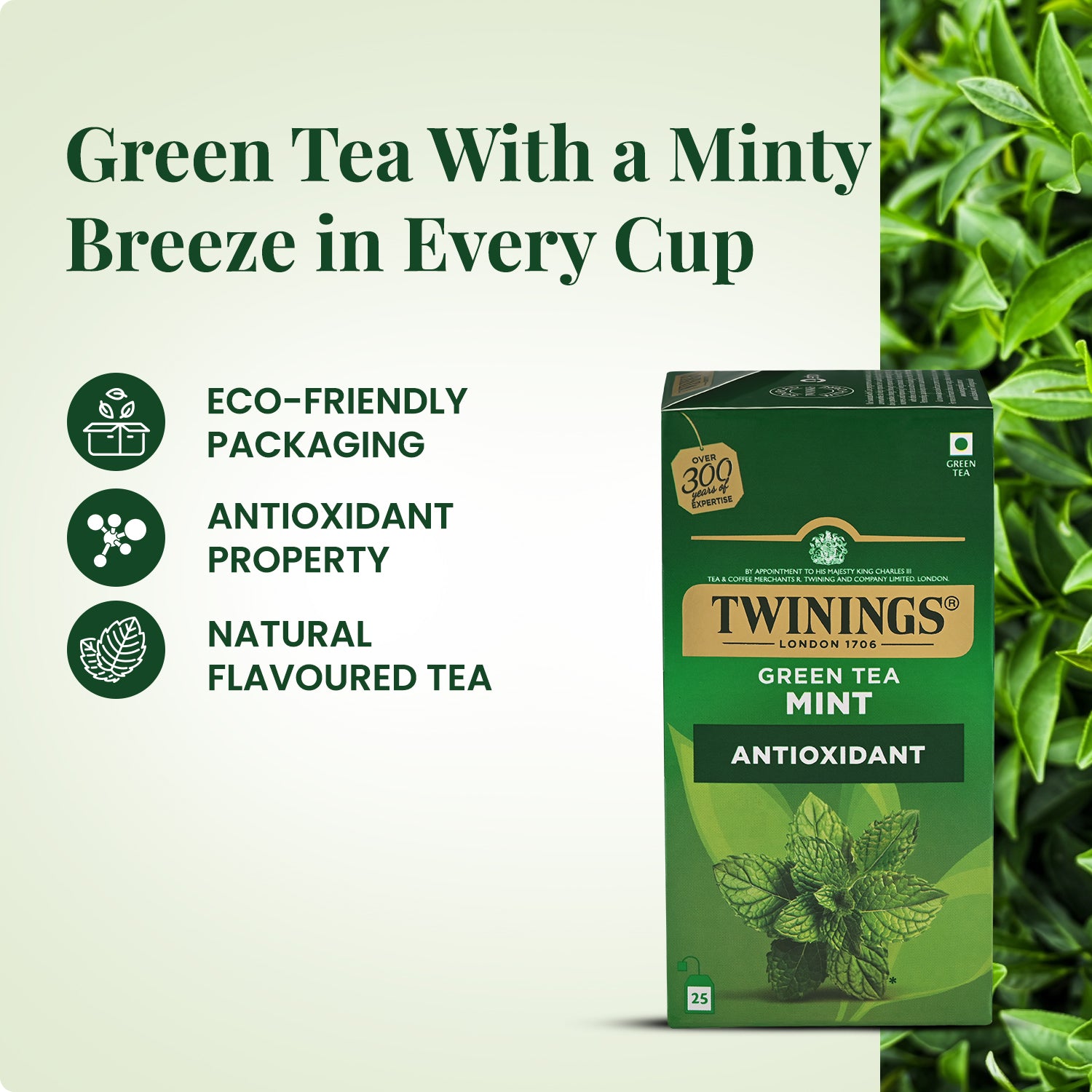 Green Tea - Mint