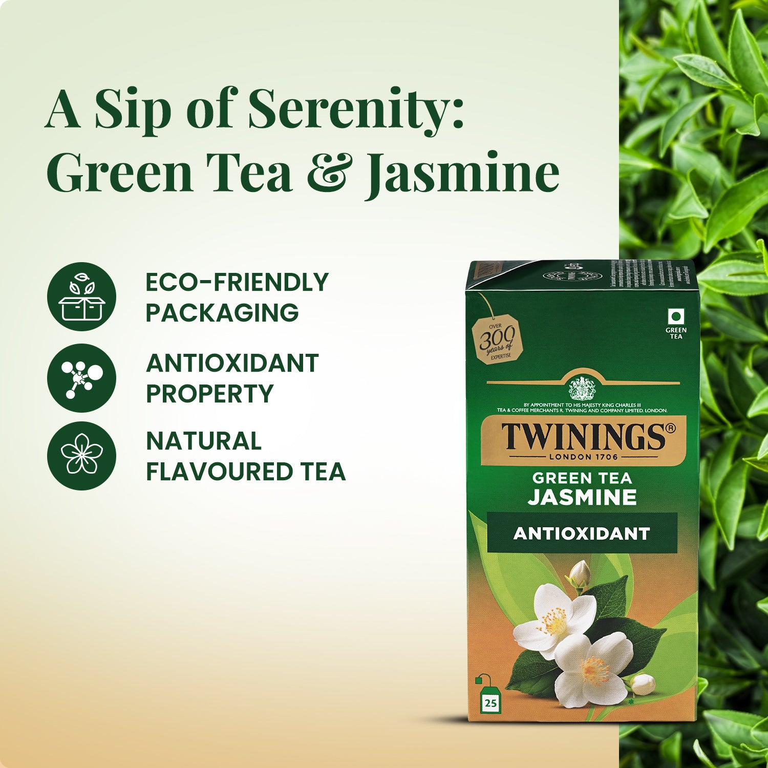 Green Tea - Jasmine