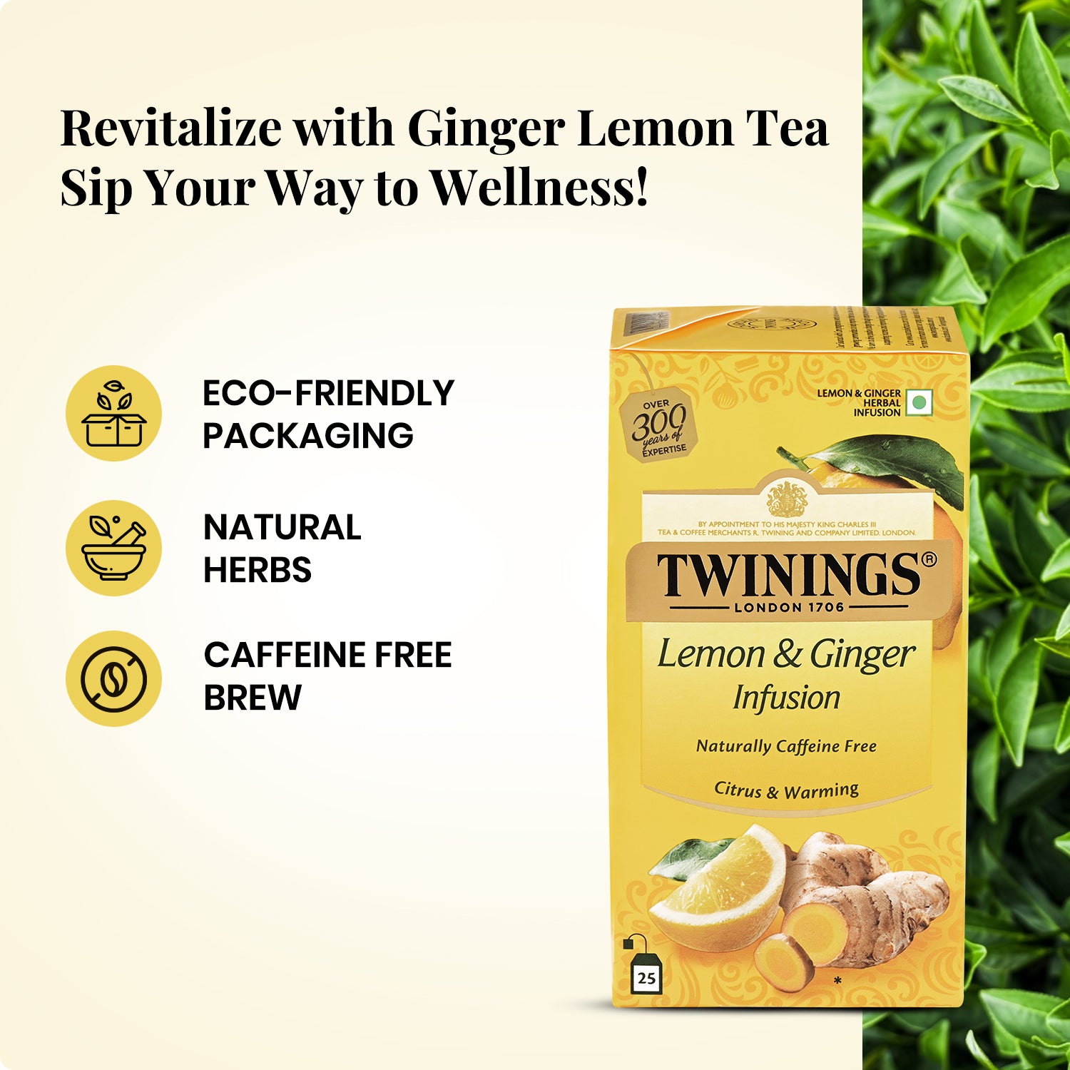 Herbal Infusion - Ginger Lemon