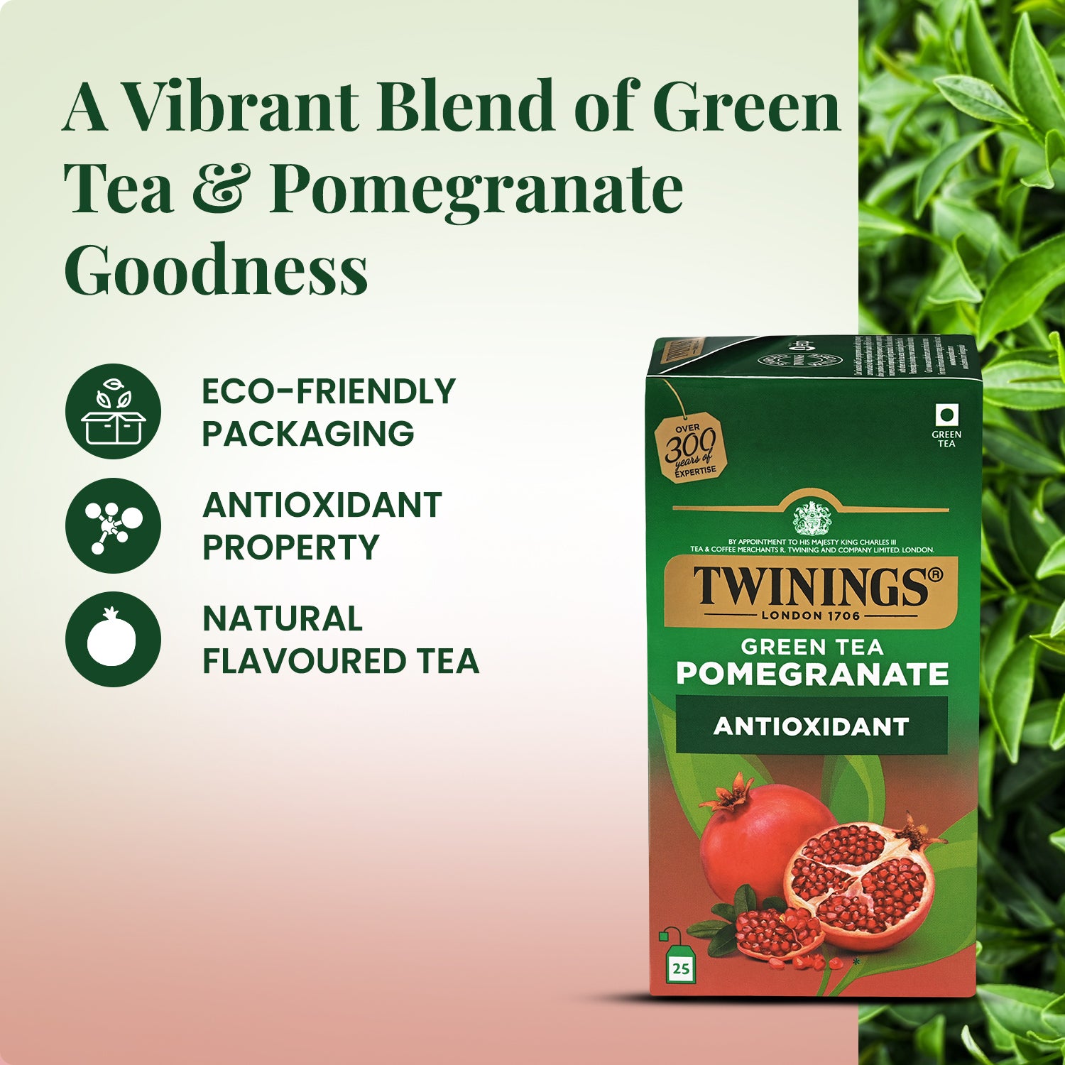 Green Tea - Pomegranate