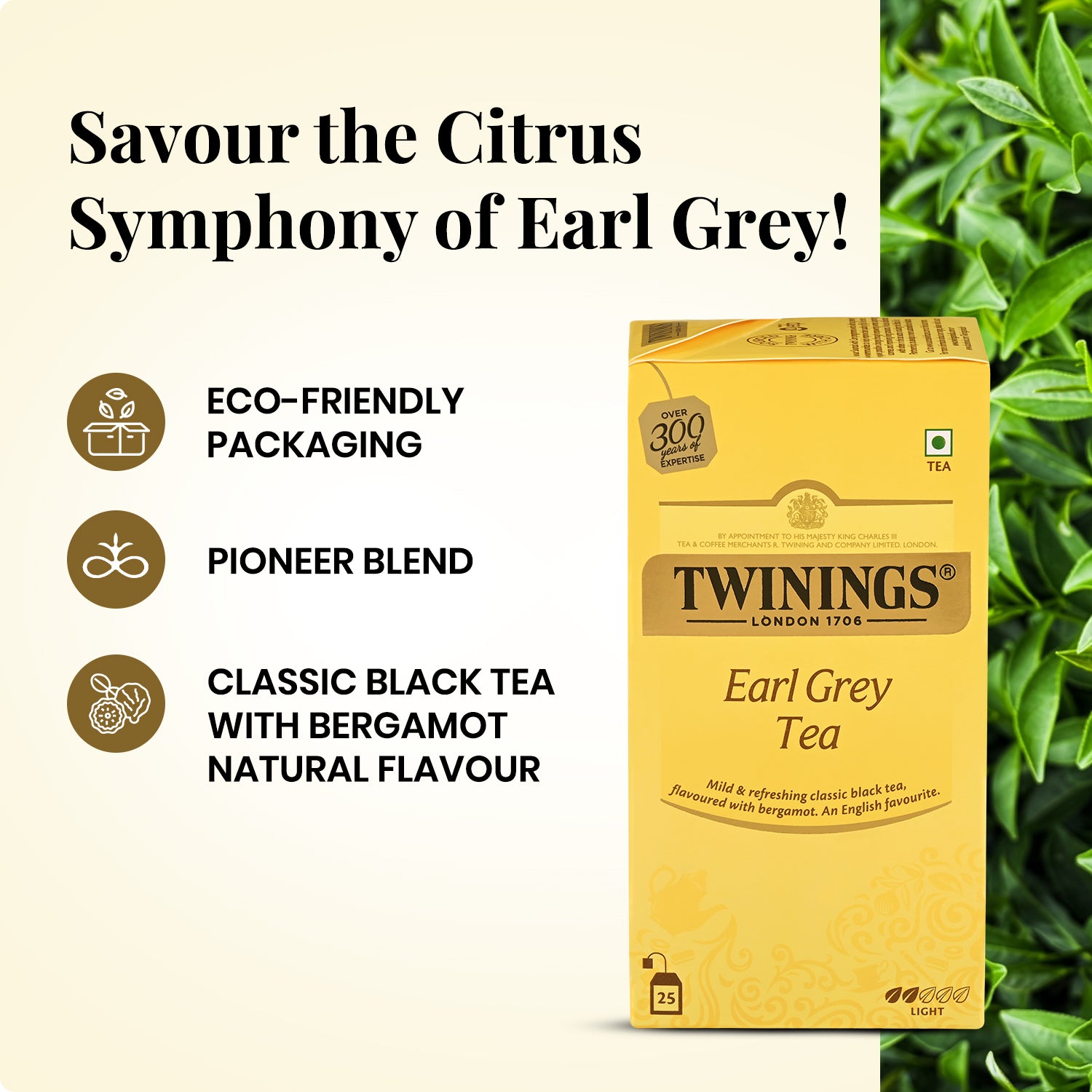 Black Tea - Earl Grey