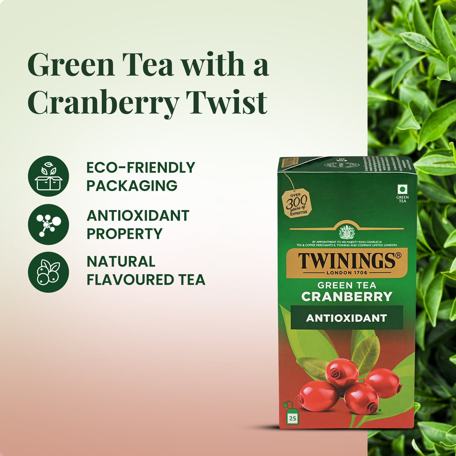 Green Tea - Cranberry