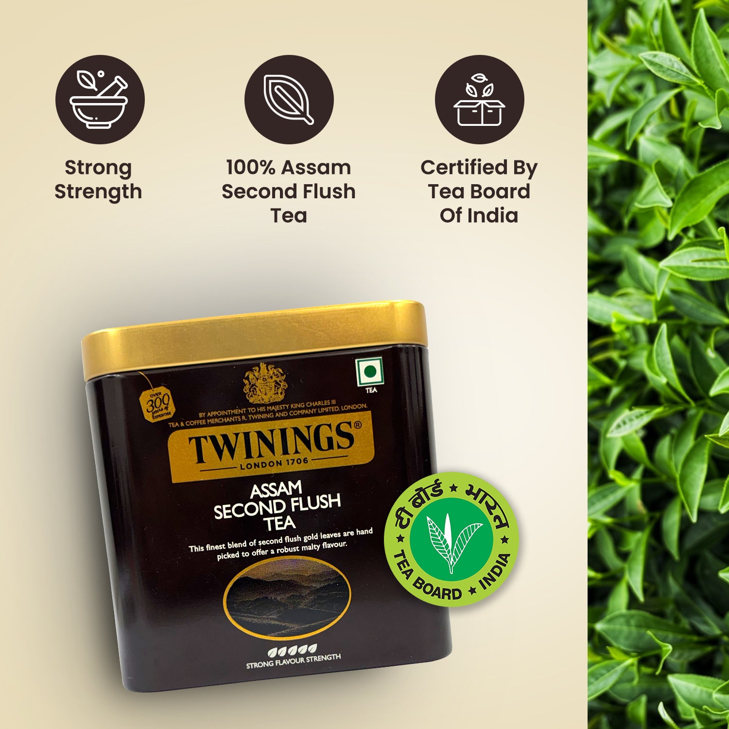 Twinings Assam Second Flush Tea Assam