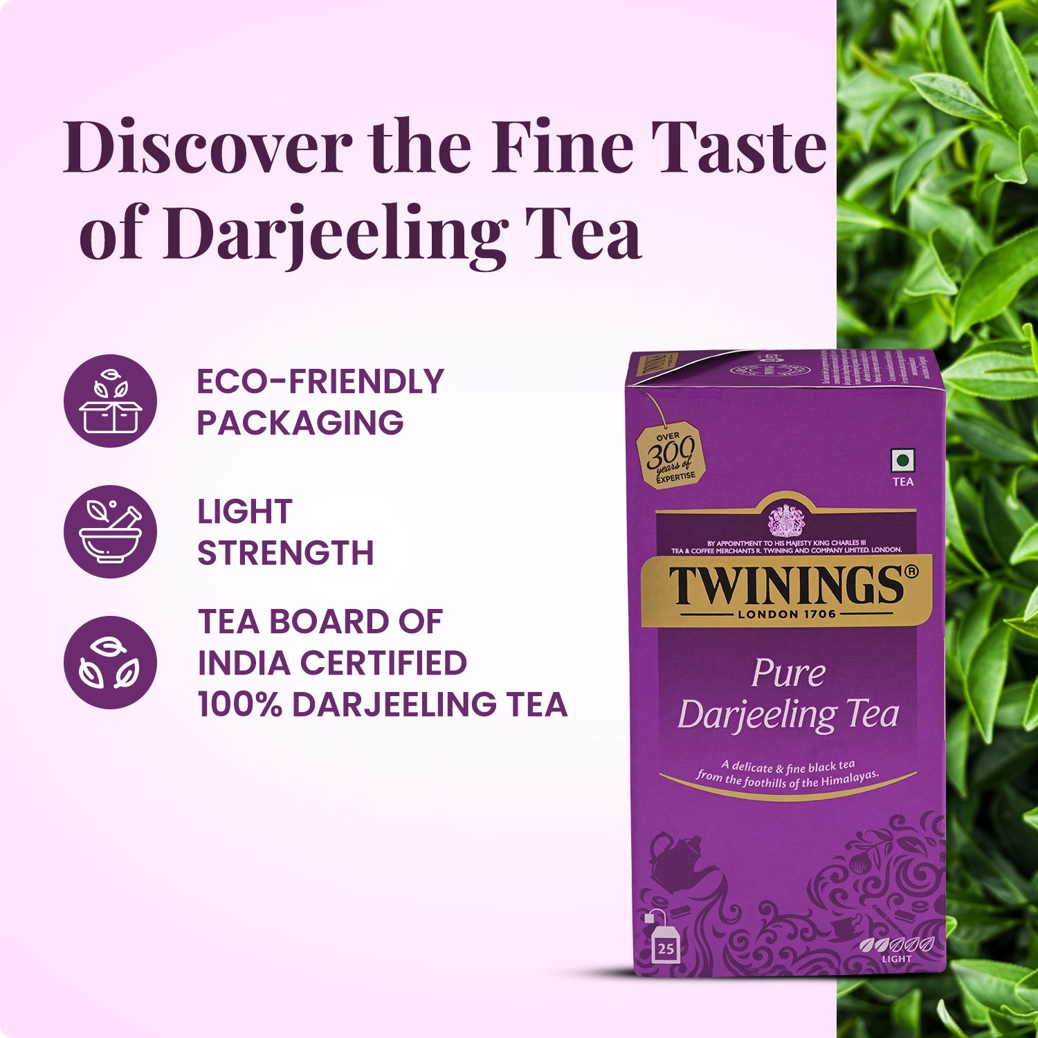 Black Tea - Darjeeling