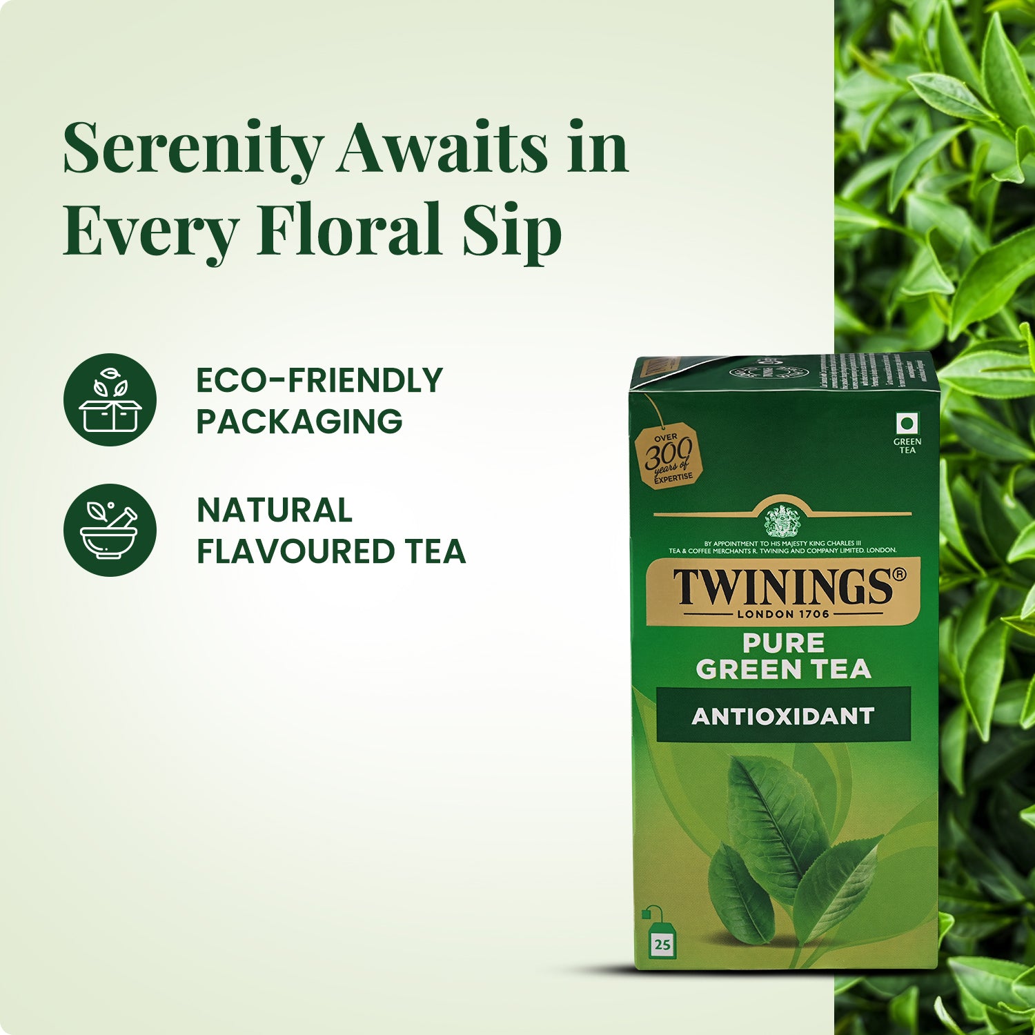Green Tea - Pure Green