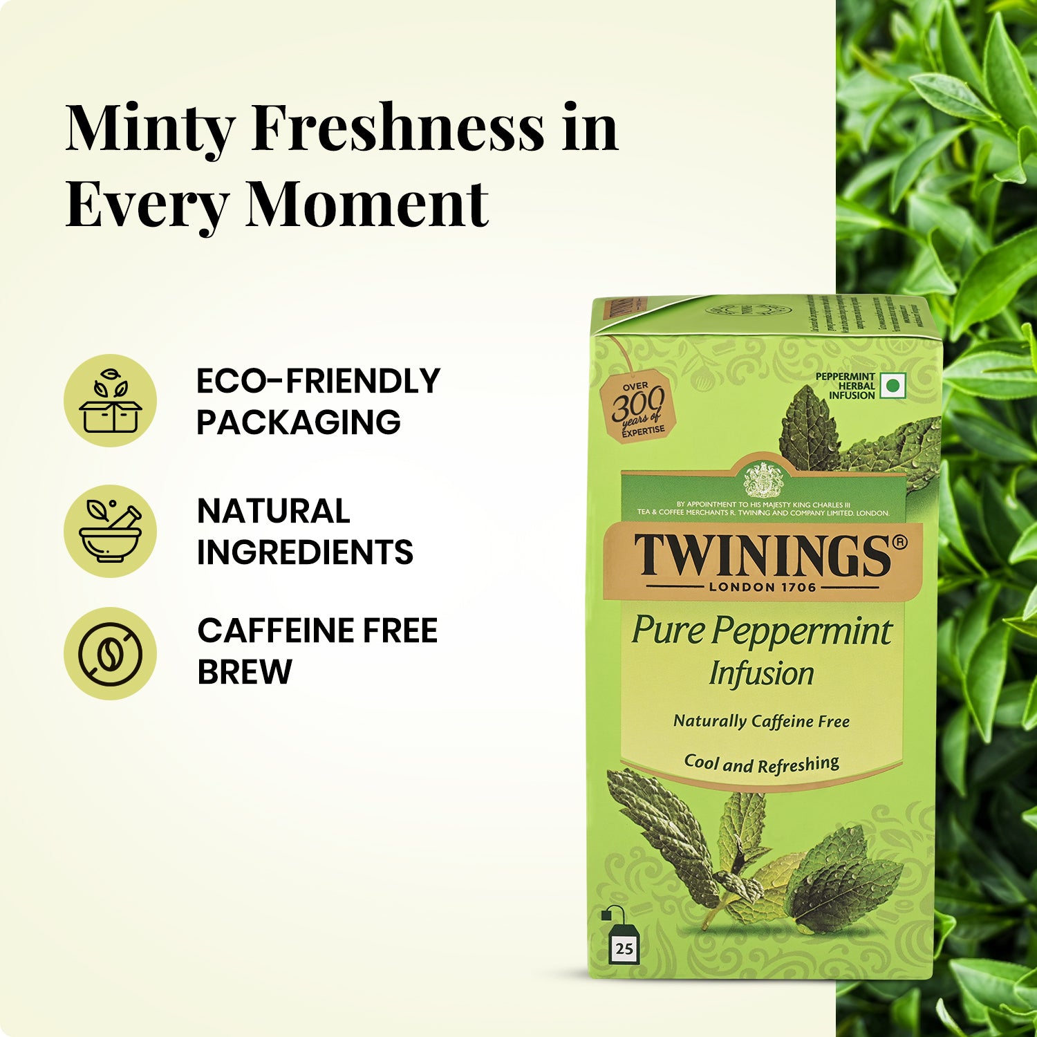 Herbal Infusion - Peppermint