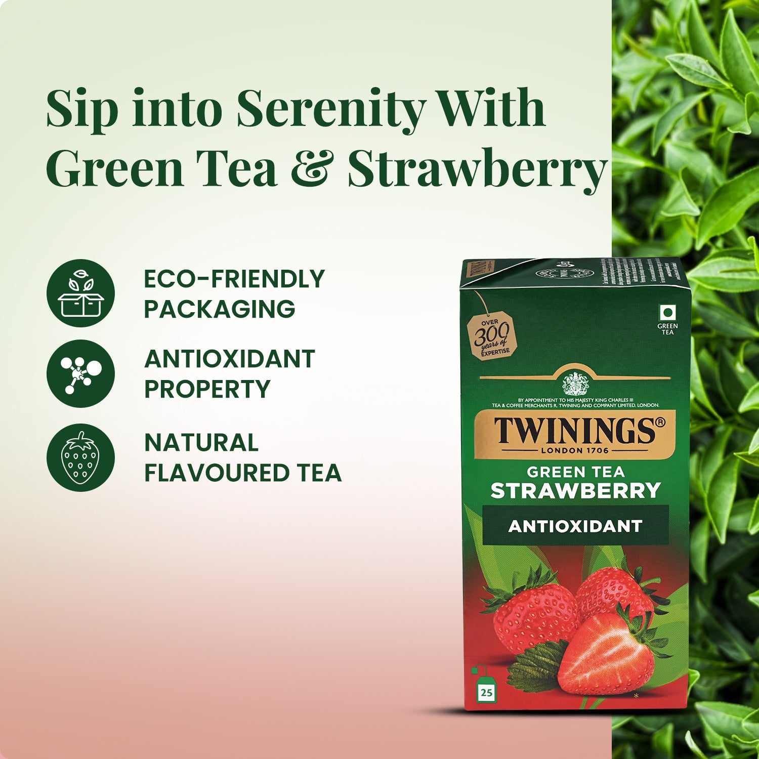 Green Tea - Strawberry