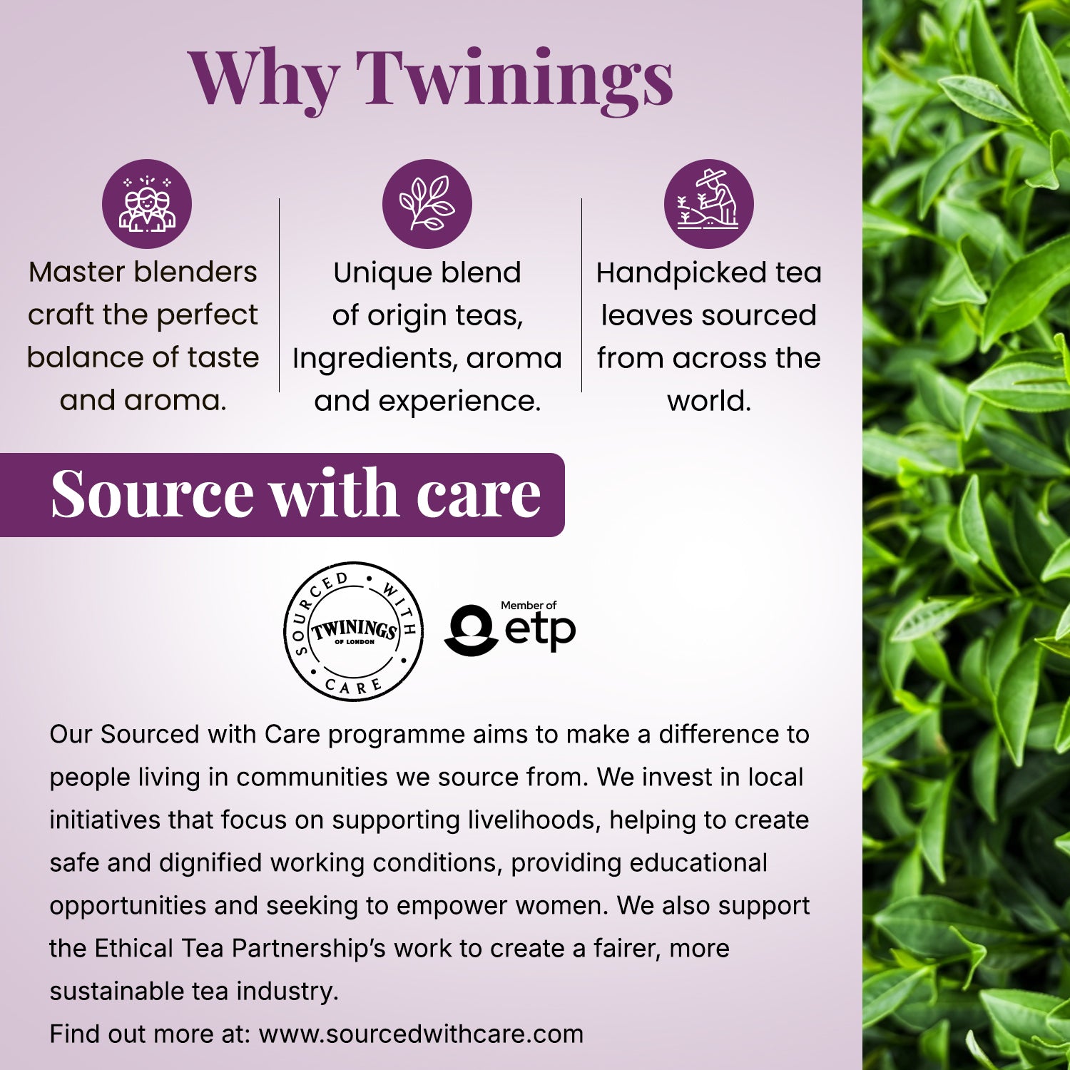 Twinings Darjeeling Loose Leaf Tea