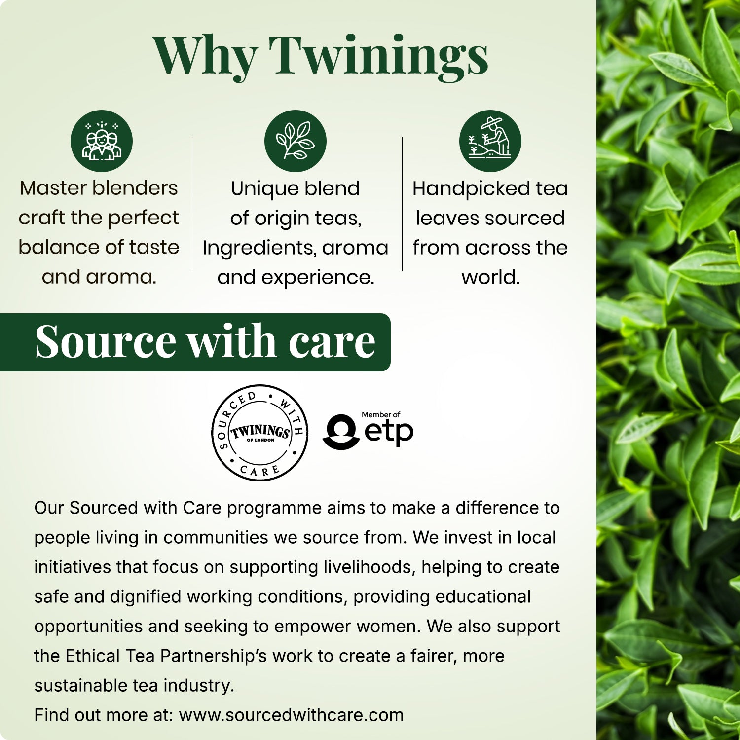 Green Tea - Earl Grey