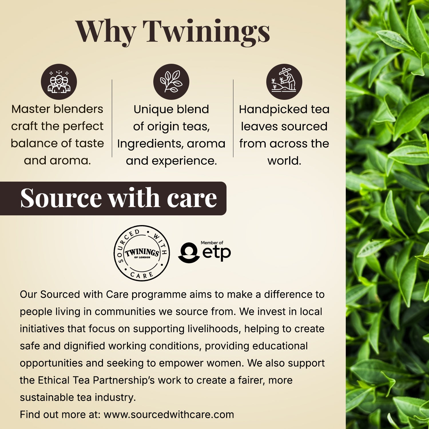 Twinings Assam Second Flush Tea Assam