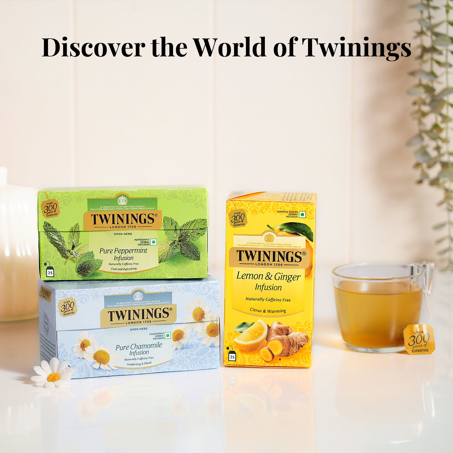 Herbal Infusion - Ginger Lemon