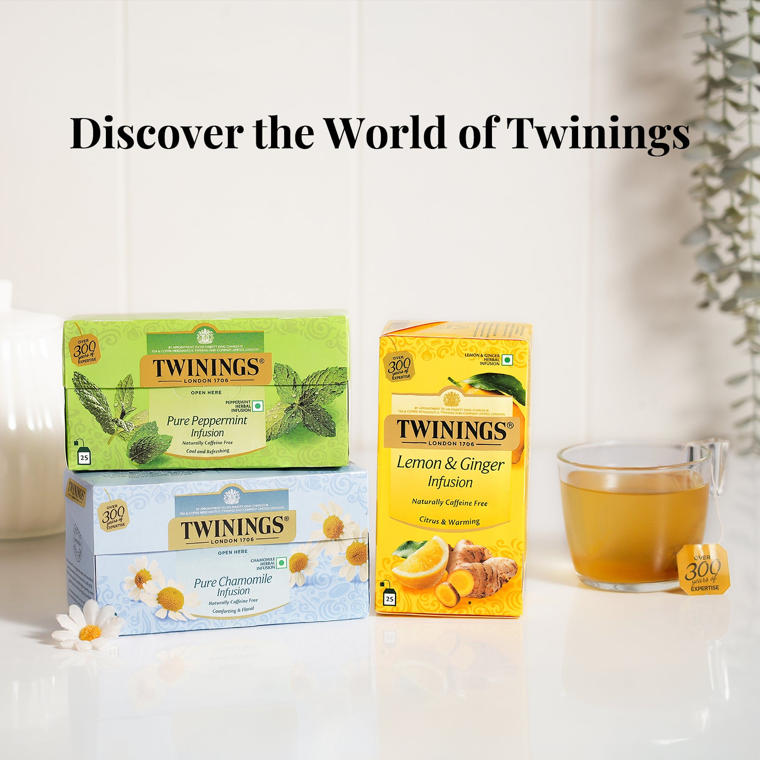 Herbal Infusion - Peppermint