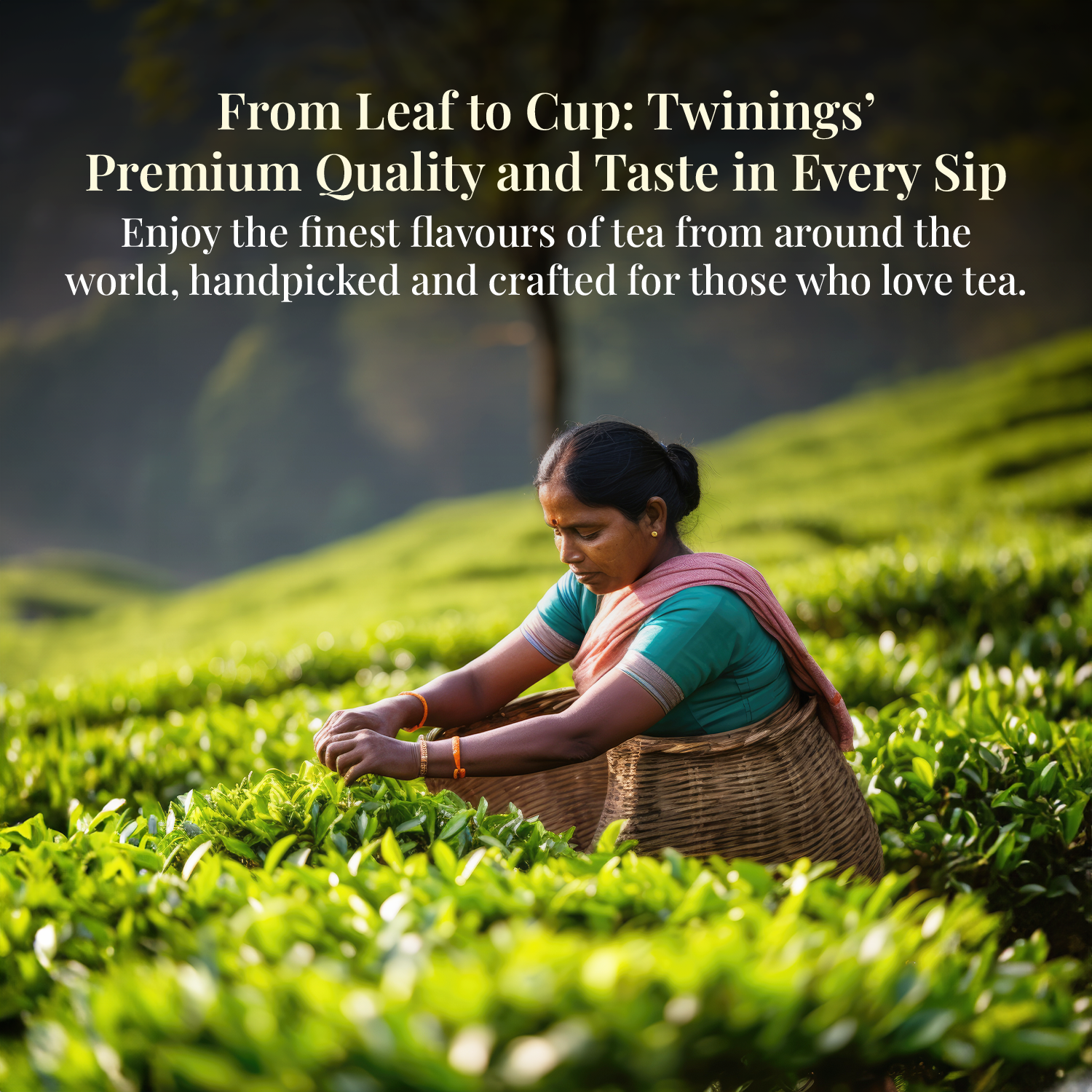 Twinings - The Royal British Garden Collection