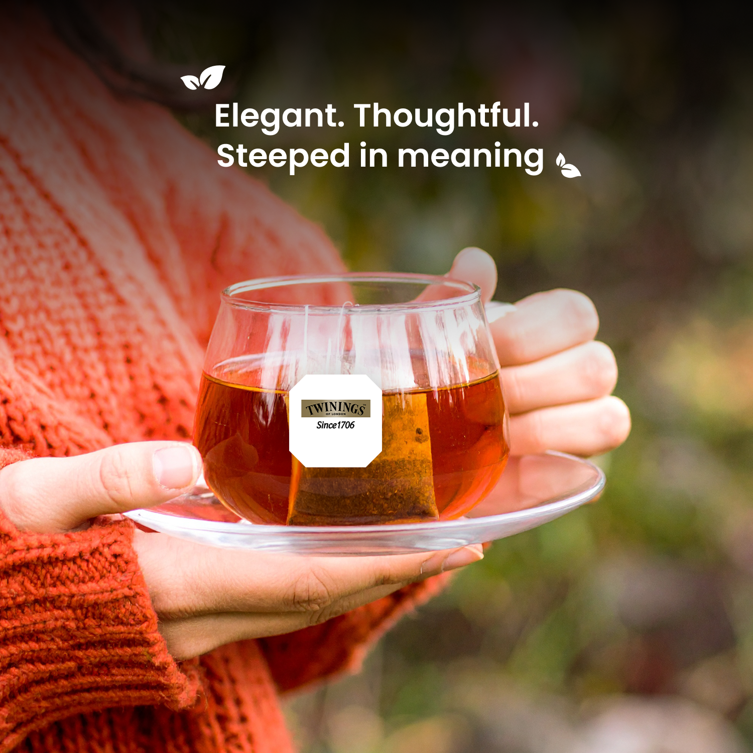 Tea Gifts - The Tea Lover Collection